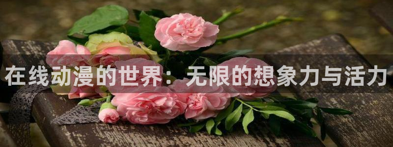 age动漫网站
