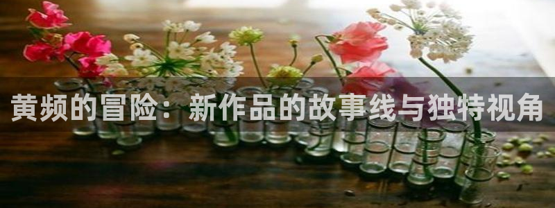 age动漫旧版